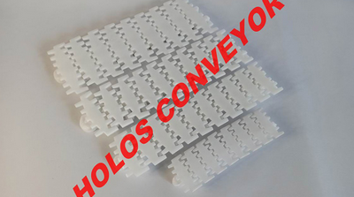 柔性鏈板輸送機(jī)流水線有什么特點(diǎn)？